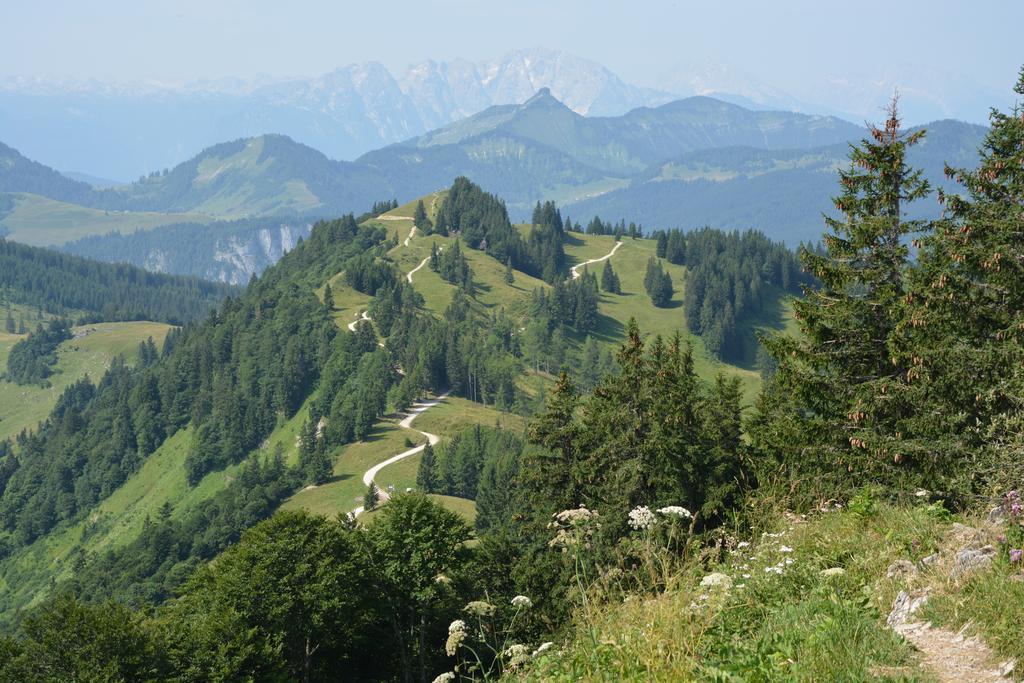 Appart Weisse Urlauben Am Wolfgangsee Sankt Gilgen Esterno foto